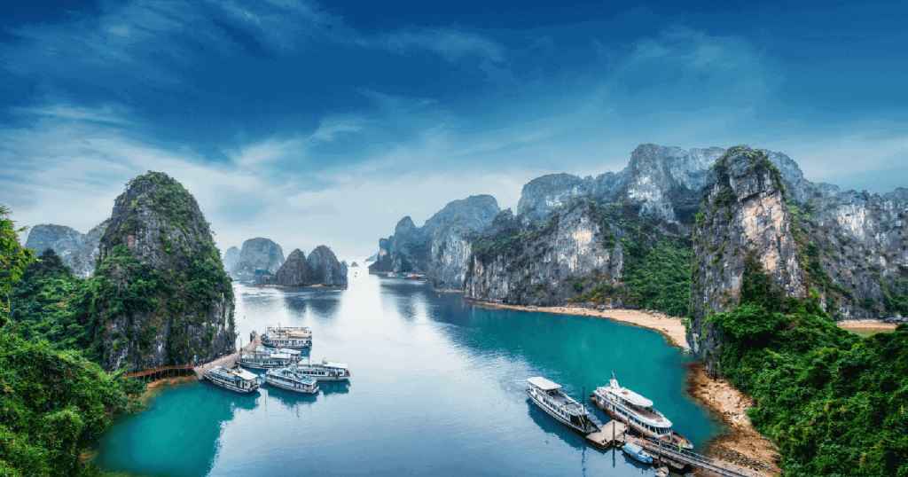 International Tour Packages